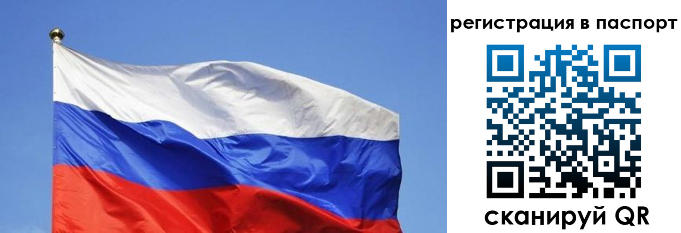 прописка в квартире в Клинцах